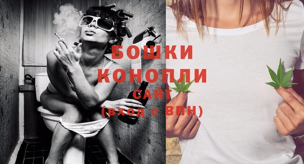 дживик Липки