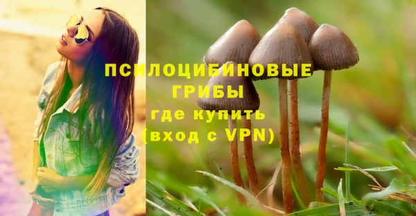 прущая мука Лиски