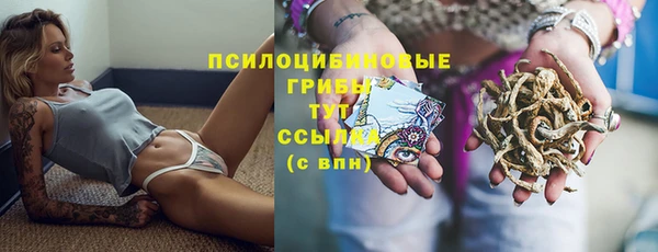 эйфоретик Алексин